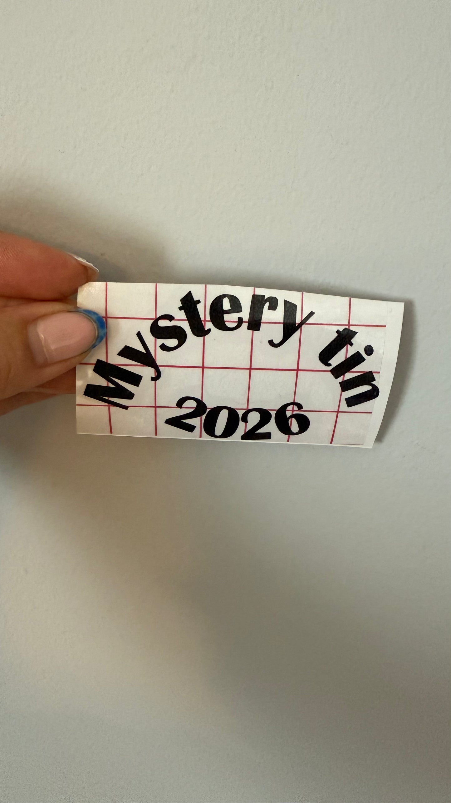 Vinyl lettering for saving tins