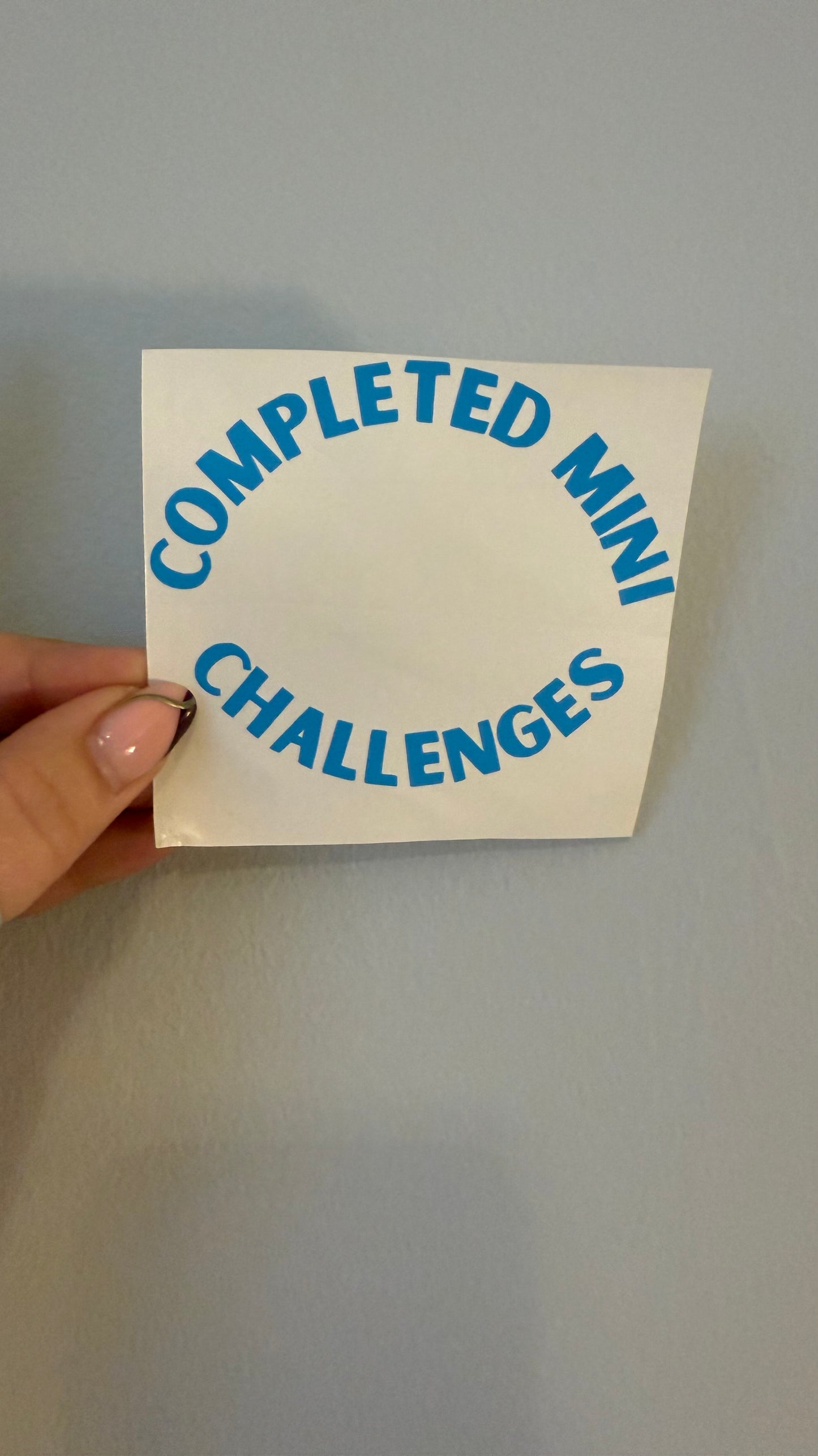 Completed mini challenges- Vinyl