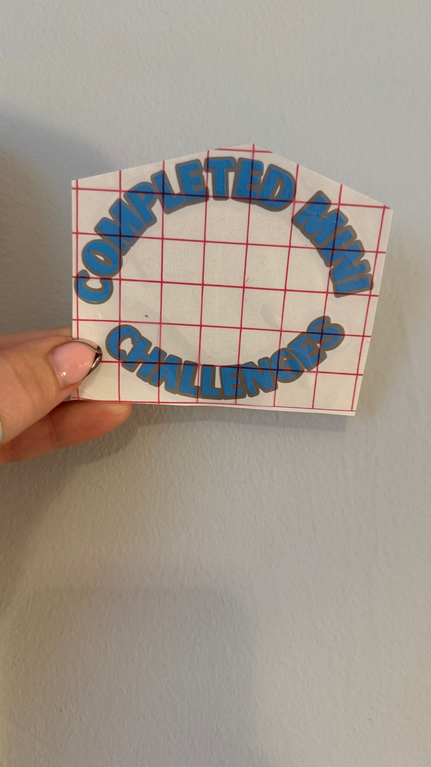 Completed mini challenges- Vinyl