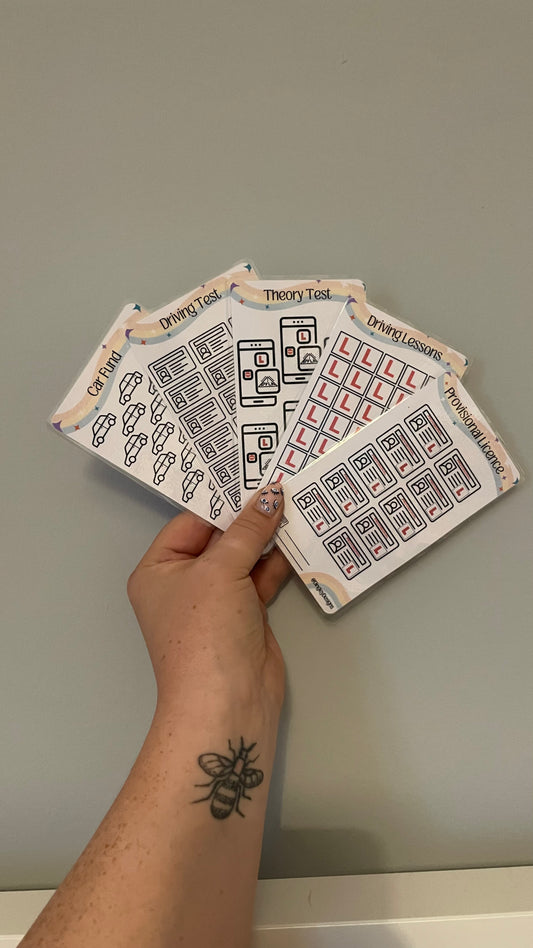 Learner Driver Tracker Set